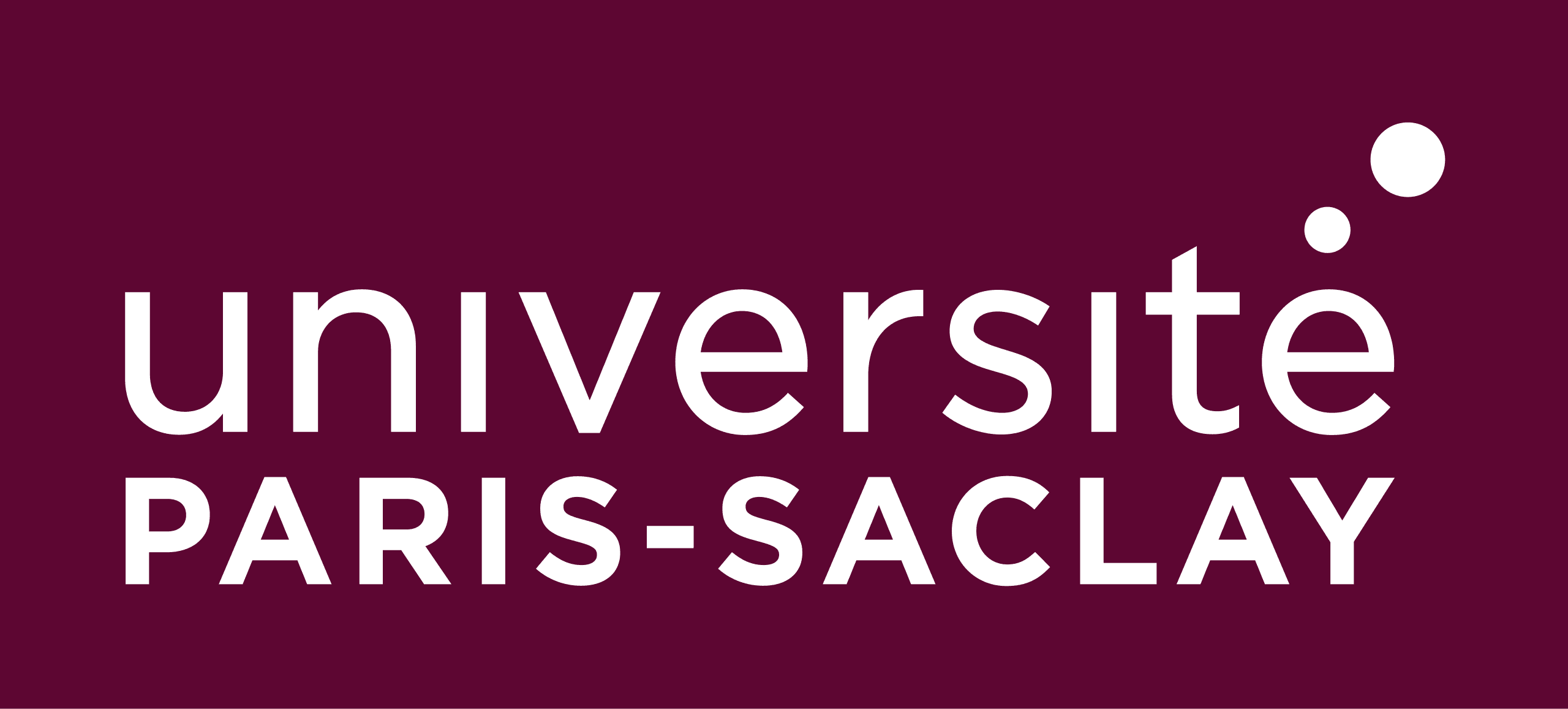 Paris-Saclay University