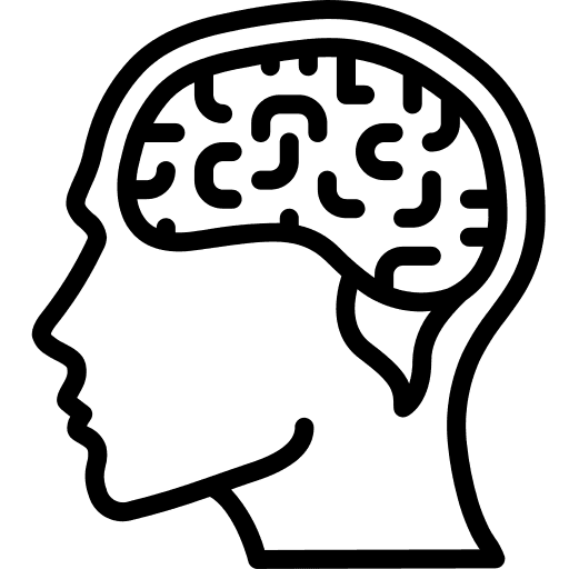 brain