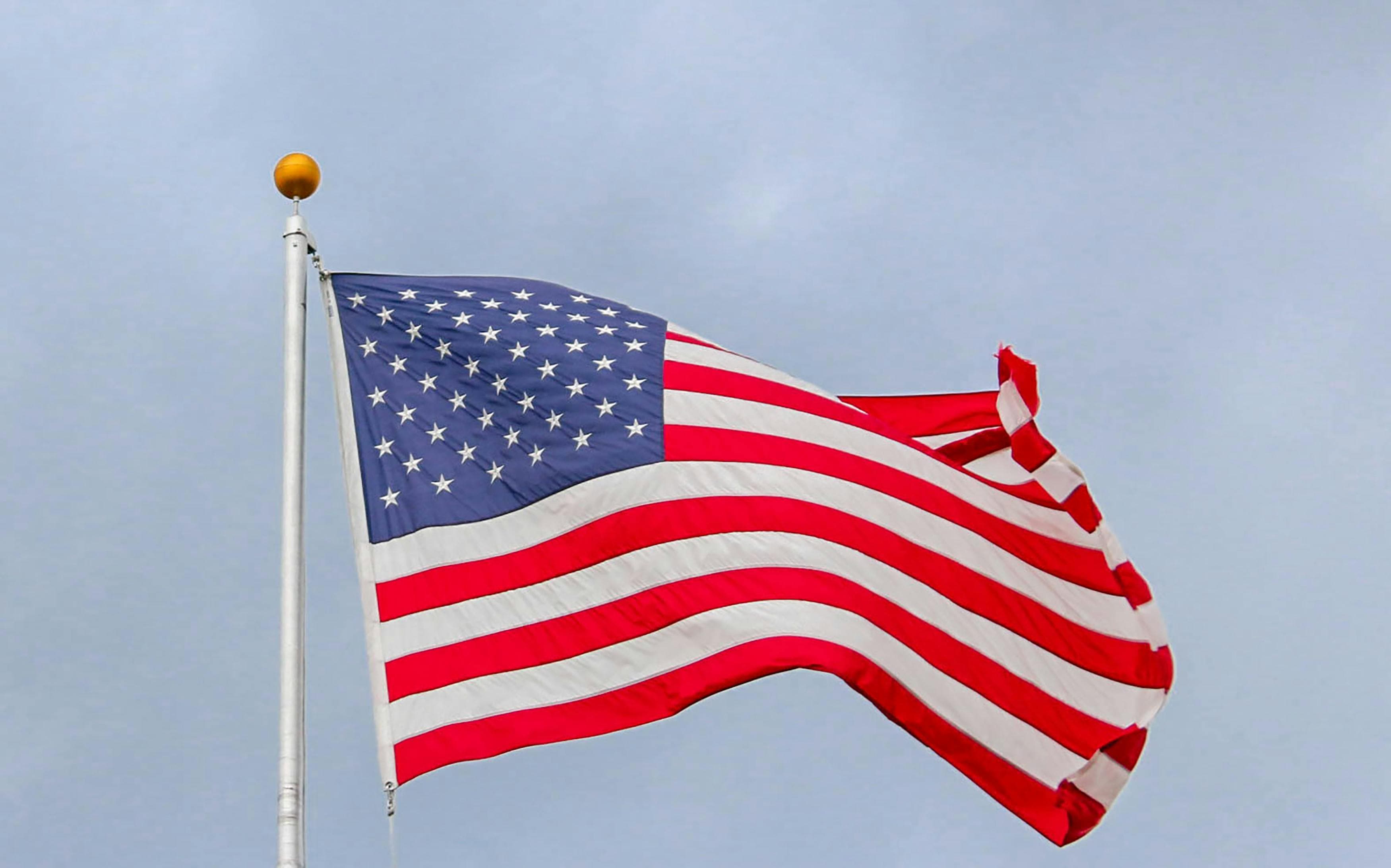 usa flag