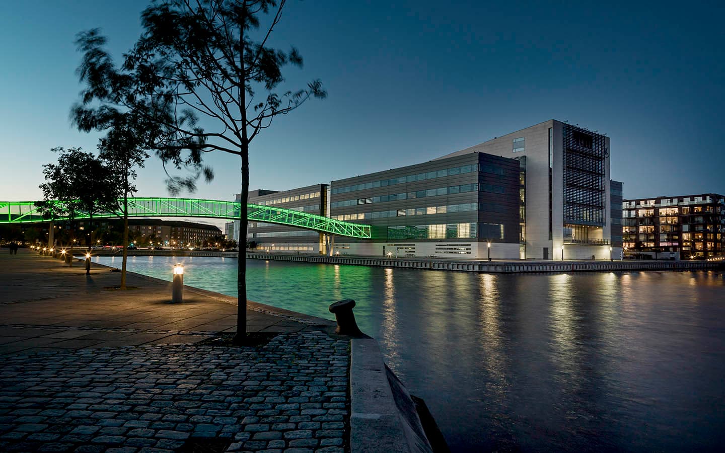 Aalborg University