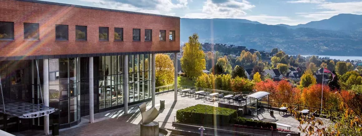 University of South-Eastern Norway